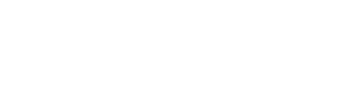 Stefanini Logo